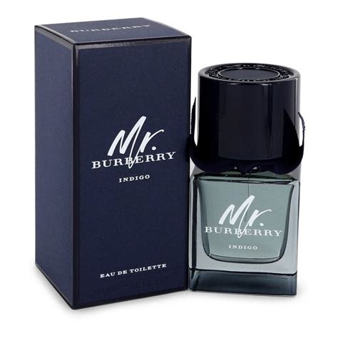 mr burberry indigo australia|mr burberry indigo 50ml.